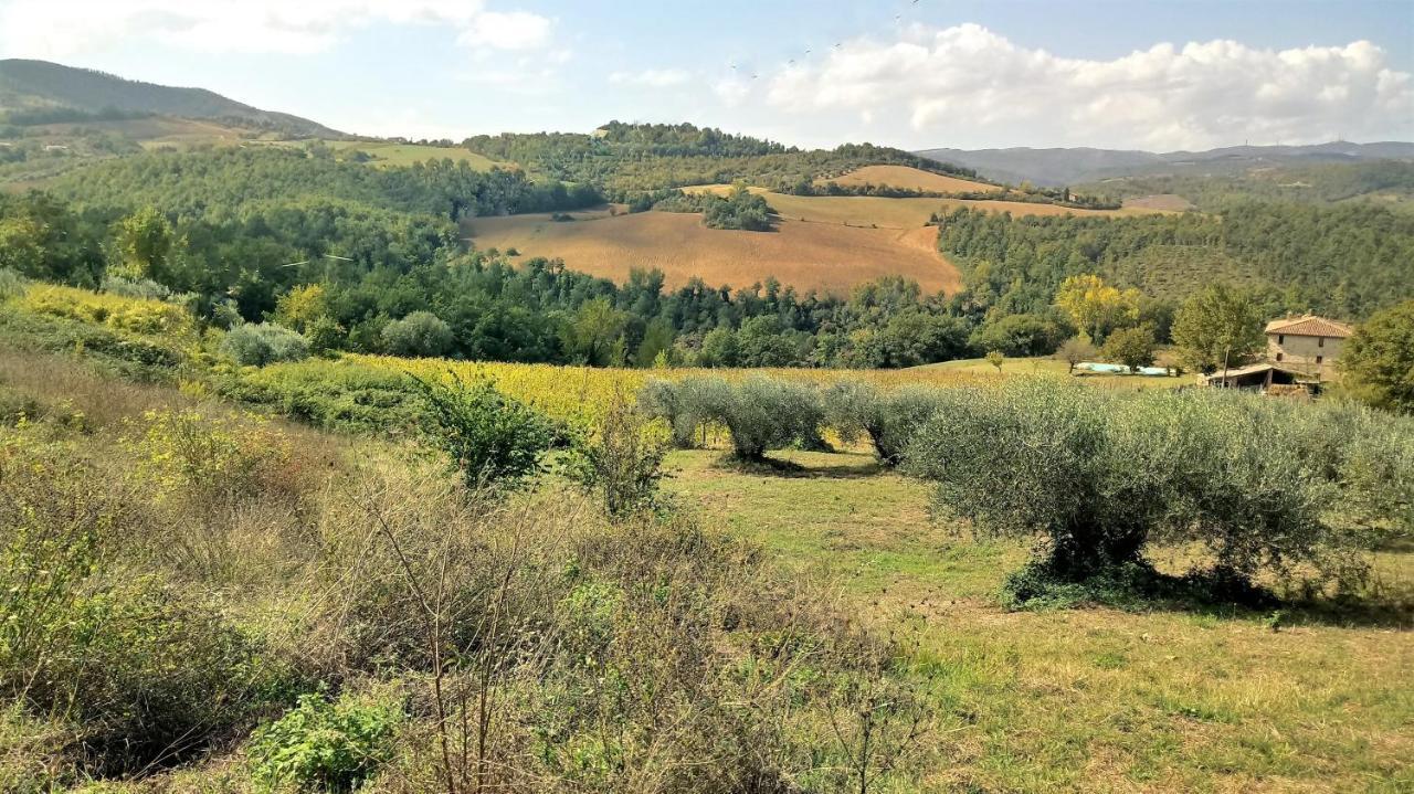 Вилла Campo Al Vento - Country Farm Monte Castello di Vibio Экстерьер фото